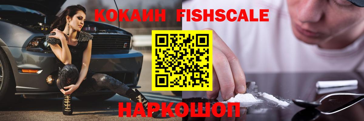 COCAIN Fish Scale  купить  сайты  Вход с VPN  Рассказово  COCAIN VHQ 