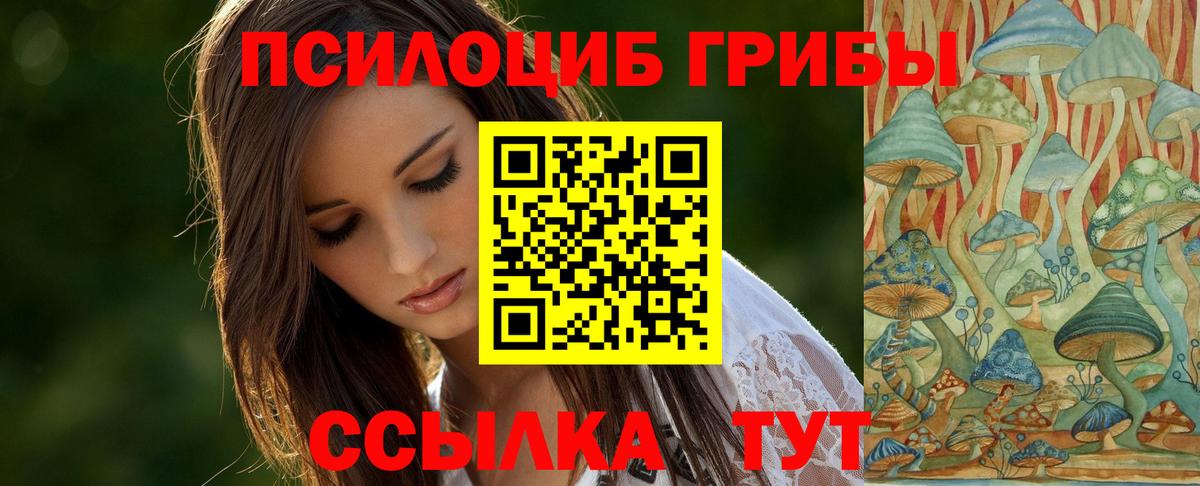 Галлюциногенные грибы Cubensis Рассказово